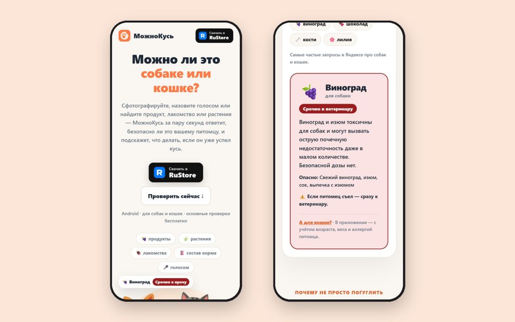 МожноКусь на телефоне: главный экран и вердикт